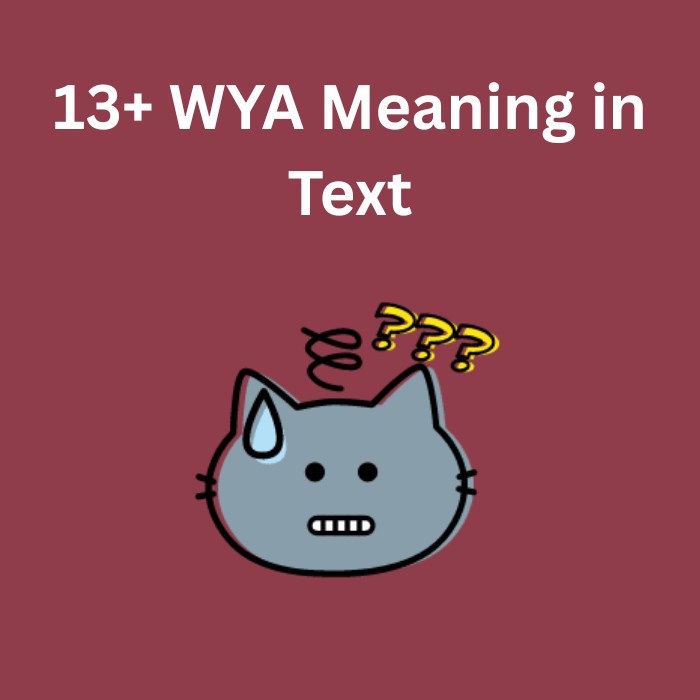 WYA Meaning in Text