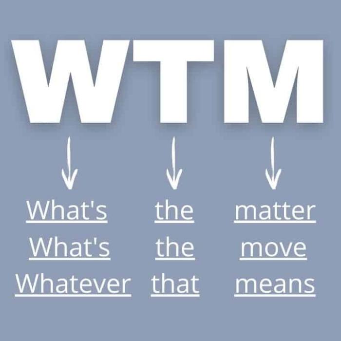 What Does WTM Mean In Text
