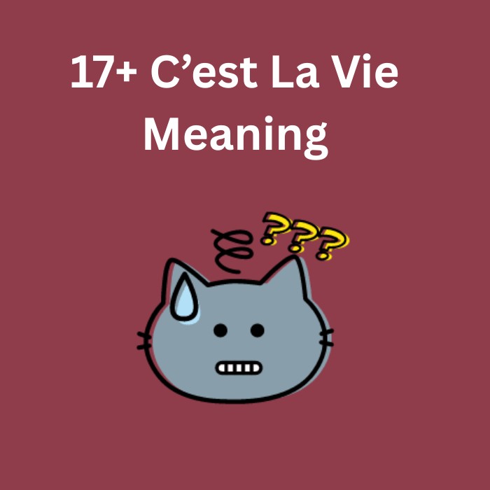 cest la vie meaning