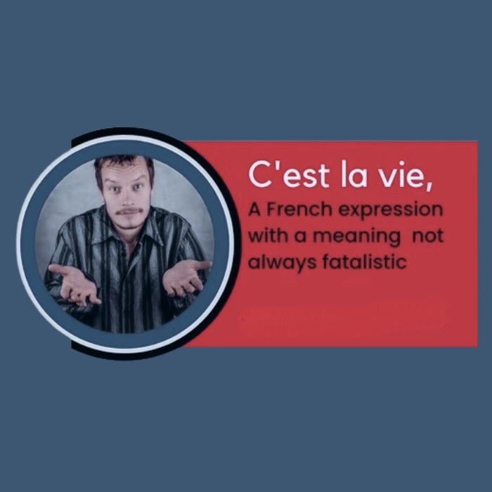what does ce la vie mean