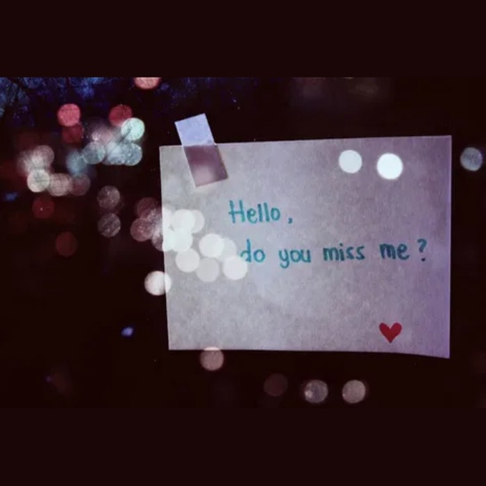 flirty response to did you miss me