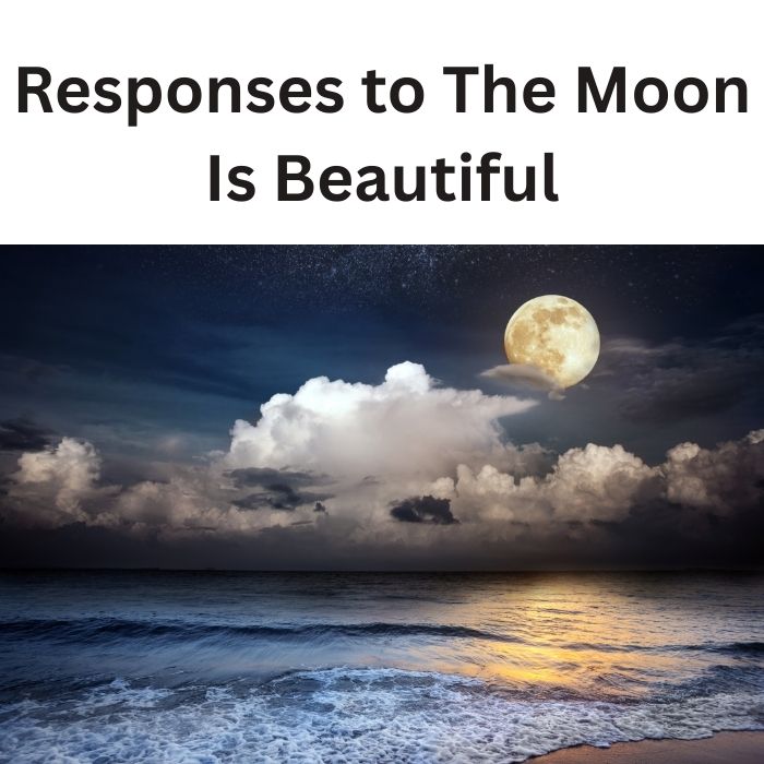 Responses to The Moon Is Beautiful